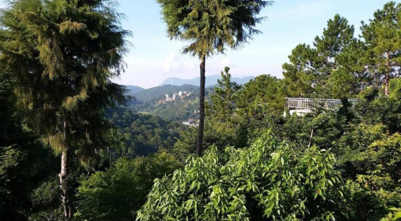Villa Dieu Thong - Secrect Garden, view săn mây và núi Đà Lạt Extérieur photo