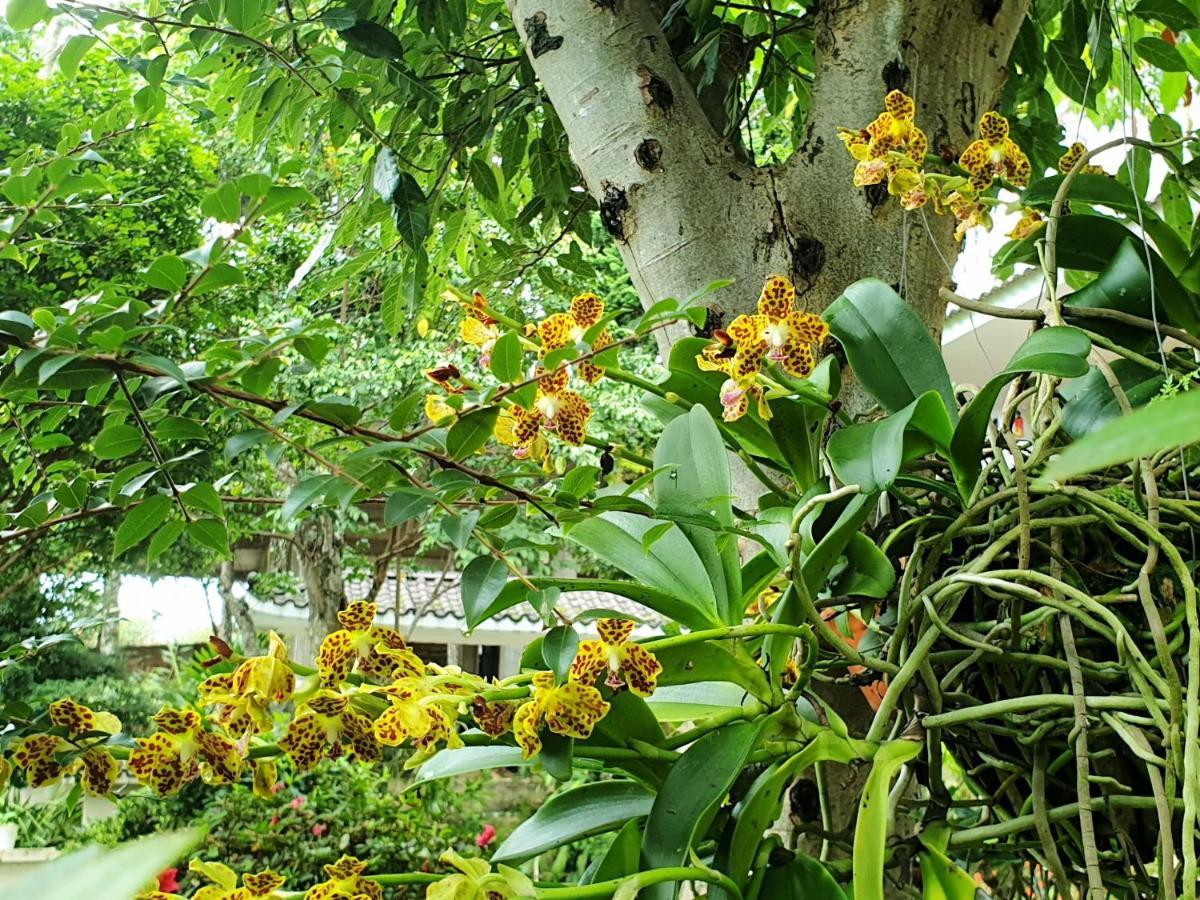 Villa Dieu Thong - Secrect Garden, view săn mây và núi Đà Lạt Extérieur photo